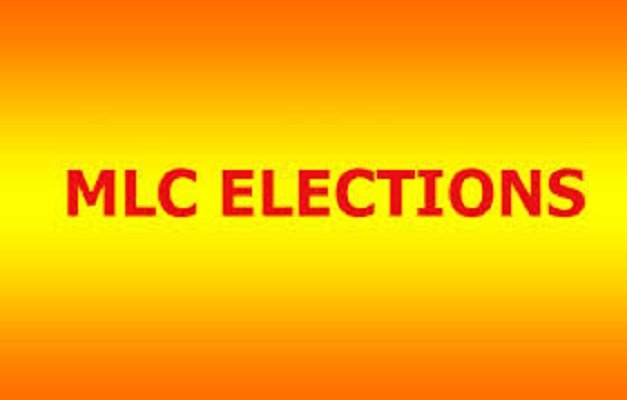 Release Schedule for Graduate MLC Elections