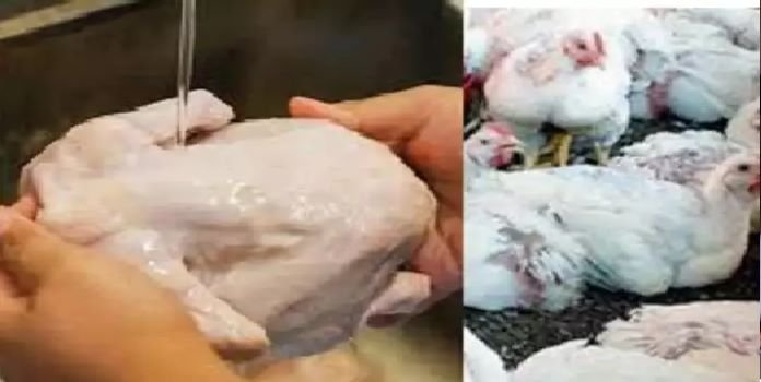 chicken price hike..kg Rs.230